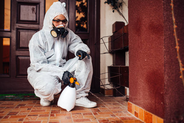 Reliable Bed Bug Control contractor in Embreeville, TN by Nex Pest Control
