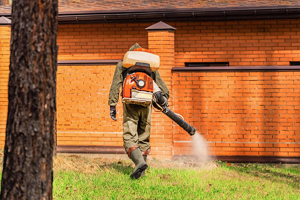 Top rated local Bed Bug Control specialists in Embreeville, TN